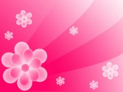 Pink Flower Background Pictures 10 Wallpaper, free pink flower background pictures images, pictures download