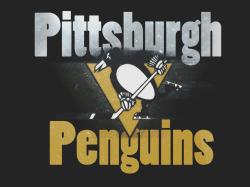 wallpaper for computer pittsburgh penguins | Free Download Pittsburgh Penguins Logo Image Picture Code HD Wallpaper
