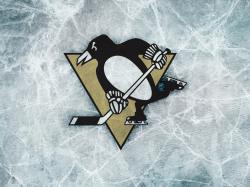 If you are looking for Pittsburgh Penguins images, today is your lucky day!! :D