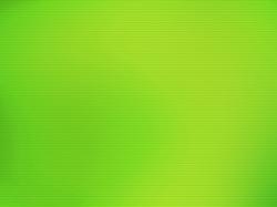 plain-light-green-wallpaper-24341-25001-hd-wallpapers.