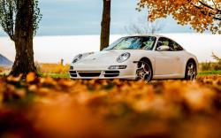 Porsche 911 White Autumn