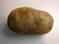 Behold the evil potato.