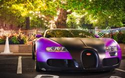Purple Black Bugatti