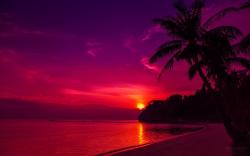 ... beach-purple-sunset-wallpaper ...