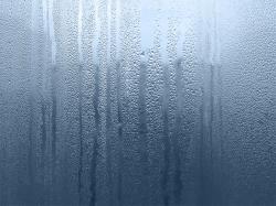 Rain Wallpaper