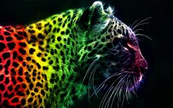 Rainbow Leopard Wallpapers Pictures Photos Images · «