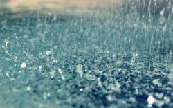Most Downloaded Raindrops Wallpapers Full Hd Wallpaper Search