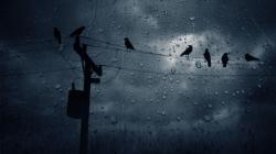 Related Article Rainy Wallpaper :