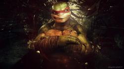 Raphael ninja turtles art