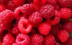 Red Raspberry berries, close-up photography wallpaper 1680x1050.