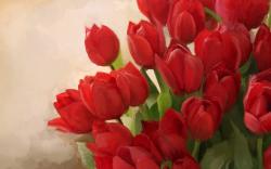 Red Flowers Images 9 HD Wallpapers