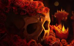 Red roses skull