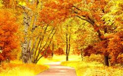 Red yellow autumn scenery