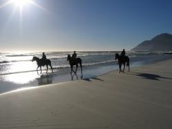 Horse Riding Noordhoek Beach Cape Town South Africa