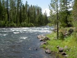 Fly Fishing Idaho, Lesser Known River The Falls River | Fly Fishing Frenzy | blog | stories | reports