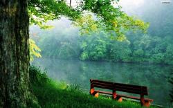 Glamorous Forest Wallpaper: Inspiring Bench by The River Wallpaper 1680x1050px