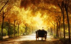 Romantic carriage ride