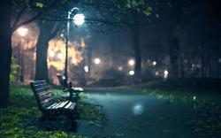 Romantic park bench evening