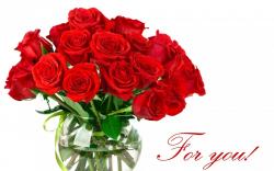 red rose love