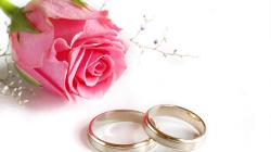 Rose Flower Ring HD Wallpapers