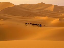 ... Sahara Desert (8) ...