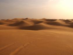 Sahara Landscape Wallpaper