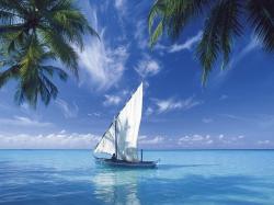 Widescreen resolutions (16:10): 1280x800 1440x900 1680x1050 1920x1200. Normal resolutions: 1024x768 1280x1024. Wallpaper Tags: boat sailboat sea palm