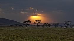 Cloudy sunset over the savannah in kenya HQ WALLPAPER - (#107956)