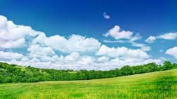 1920x1080 hd fresh summer grassland scenery backgrounds wide wallpapers:1280x800,1440x900,1680x1050 -