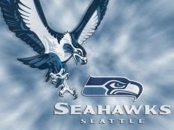 Seattle Seahawks Jerseys NFL Shop 50% Off - Seahaw