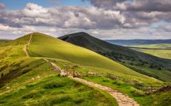 Sheep landscape england