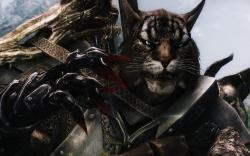 It's 2015, and somehow we're still interested in Skyrim, a game that came out in 2011. That's in part to the vast, open-world that Bethesda created, ...