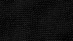 Widescreen resolutions (16:10): 1280x800 1440x900 1680x1050 1920x1200. Normal resolutions: 1024x768 1280x1024. Wallpaper Tags: abstract black snake