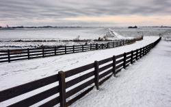 Snow Fence Backgrounds
