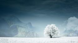 Snow Wallpaper HD Free Download