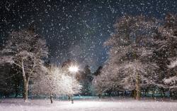 Download Snowfall at Night Wallpaper :
