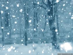 Snow Falling Wallpapers Free