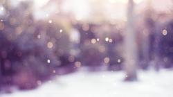Download the following Snowy Bokeh Wallpaper 23998 by clicking the orange button positioned underneath the "Download Wallpaper" section.