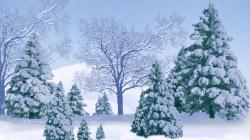 Snowy Trees HD Wallpapers
