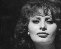 Sophia Loren Sophia Loren