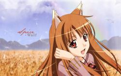 1920x1200 Anime Spice And Wolf