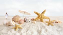 Please check our latest hd widescreen wallpaper below and bring beauty to your desktop. Starfish Wallpapers