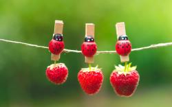 Strawberries Berries Red Clothespins Ladybugs