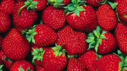 Latest Strawberrie HD Wallpaper Free Download