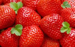 beautiful strawberries hd wallpapers cool desktop background images widescreen