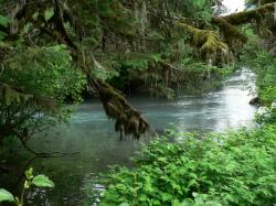 File:Cordova Power Creek Salmon Stream.jpg