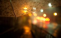 Street Night Lights Umbrella Macro