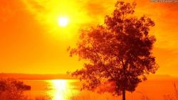 download free high definition sunlight wallpaper landscapes desktop background image nature picture