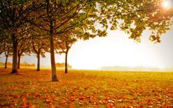 Sunny Autumn Landscape