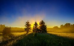 Sunrise Trees Wallpapers Pictures Photos Images. «